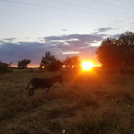 Haus Talblick * Valwig