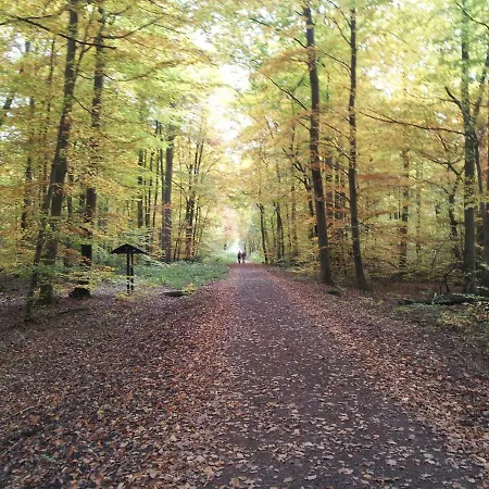 Apartment Haus Talblick
