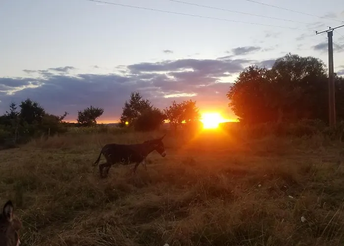 Haus Talblick * ヴァルヴィヒ