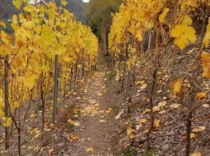 Haus Talblick ヴァルヴィヒ