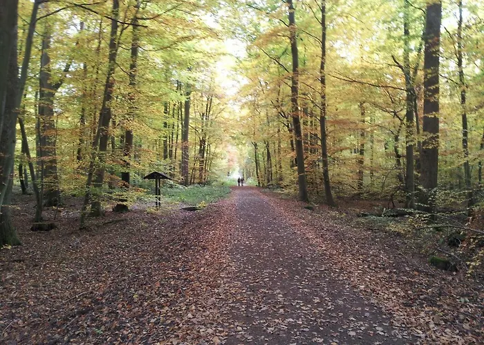 Lejlighed Haus Talblick