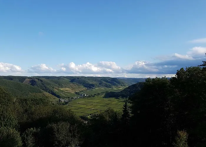 Haus Talblick ヴァルヴィヒ